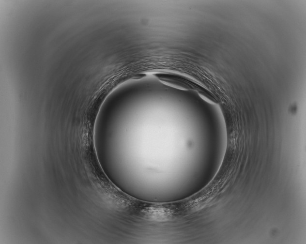 X0000096190464200801251244