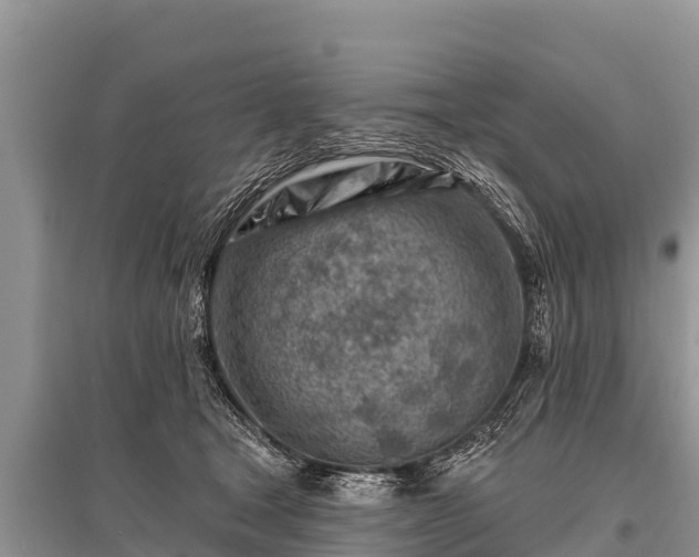 X0000096190465200801251244