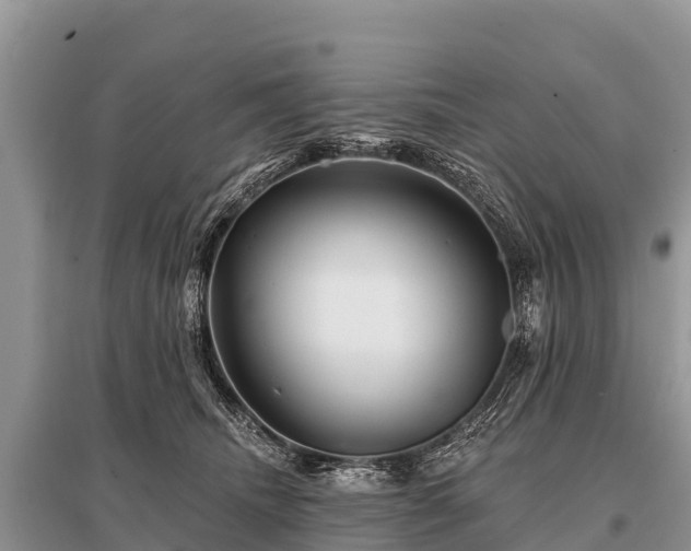 X0000096190468200801251244