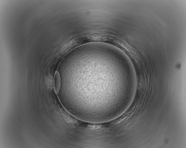 X0000096190469200801251244