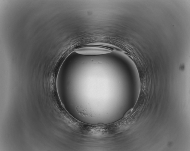 X0000096190470200801251244