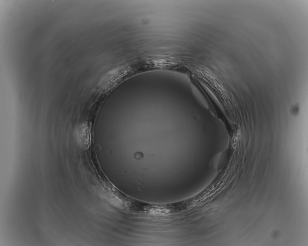 X0000096190471200801251244
