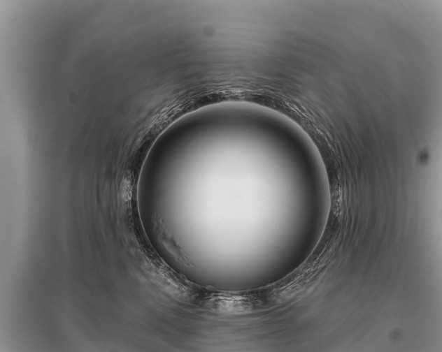 X0000096190472200801251244