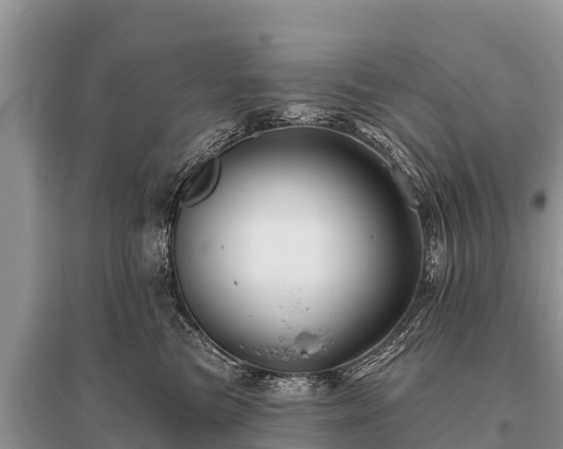 X0000096190473200801251244