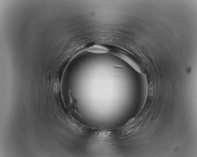 X0000096190474200801251244