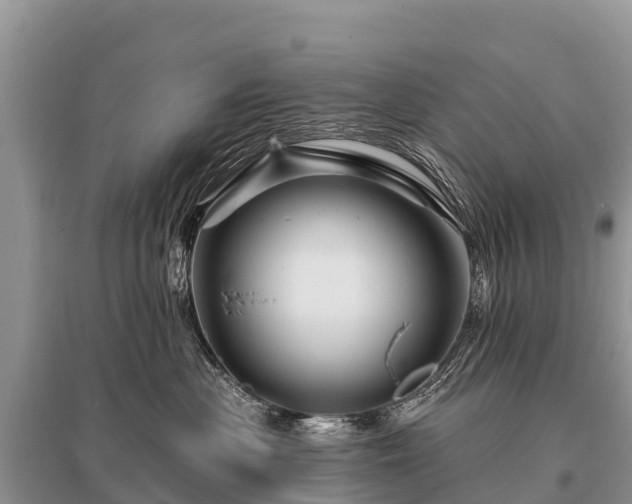 X0000096190477200801251244