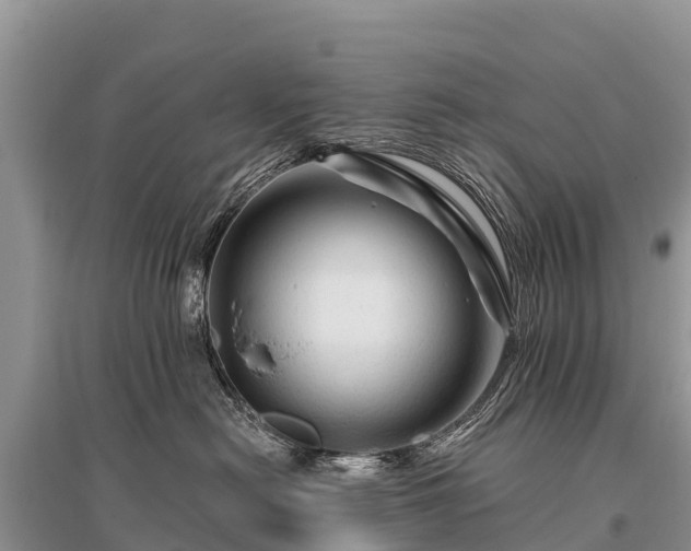 X0000096190478200801251244