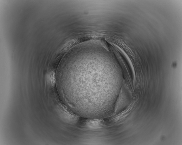 X0000096190479200801251244