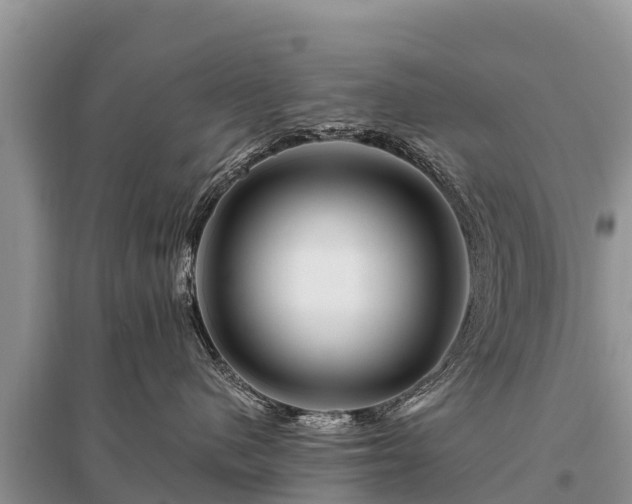 X0000096190480200801251244