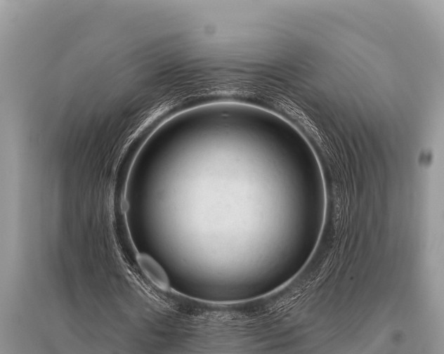 X0000096190482200801251244