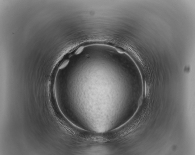 X0000096190483200801251244