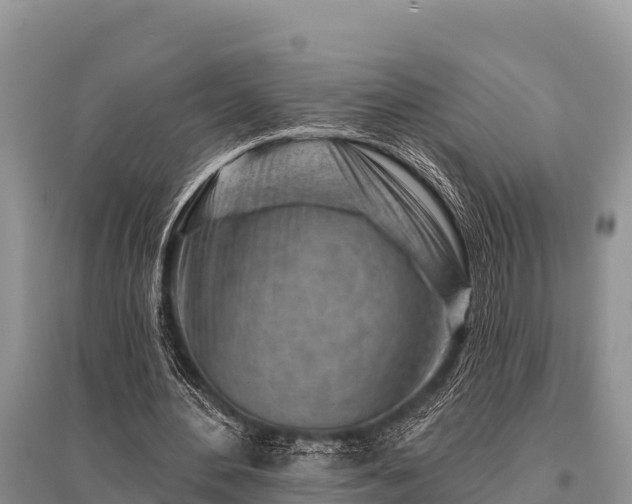 X0000096190484200801251244