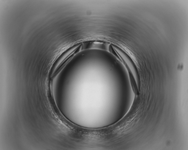 X0000096190485200801251244