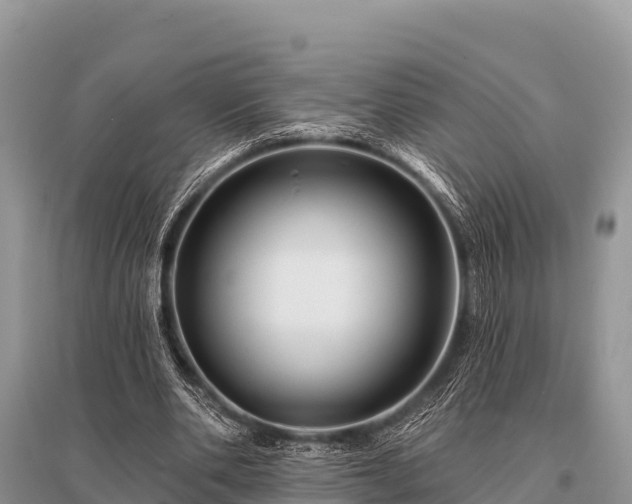 X0000096190486200801251244