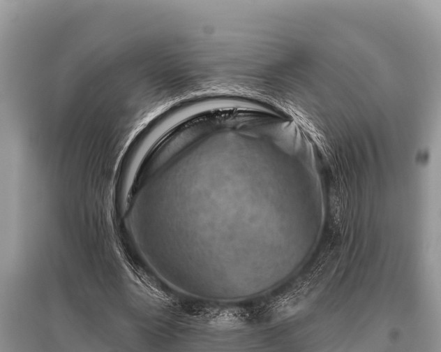 X0000096190488200801251244