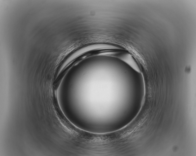 X0000096190489200801251244