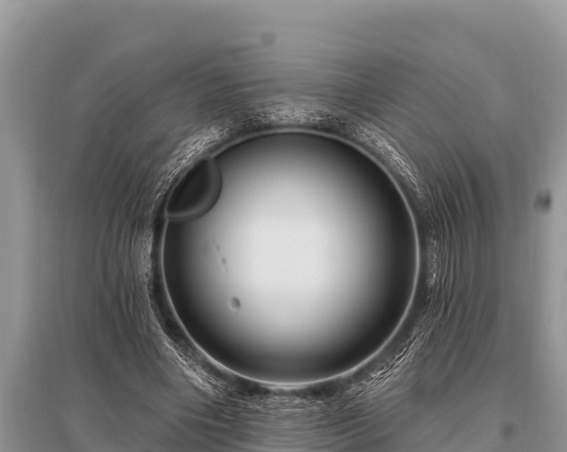 X0000096190490200801251244