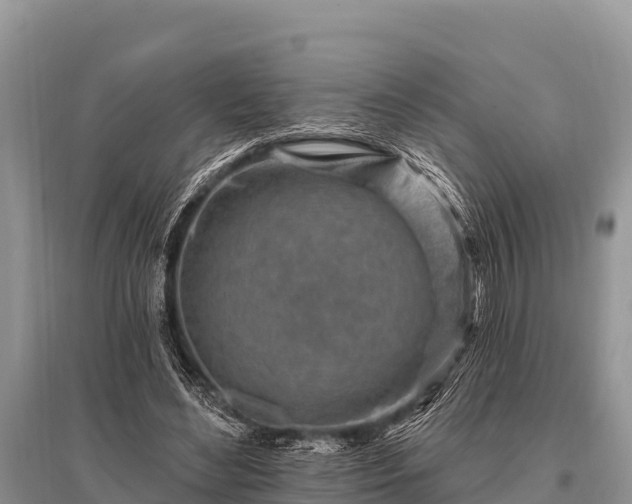 X0000096190492200801251243