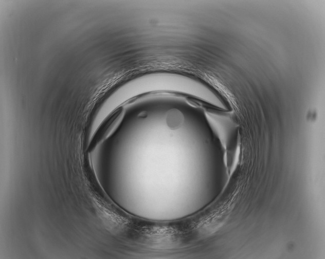 X0000096190493200801251243