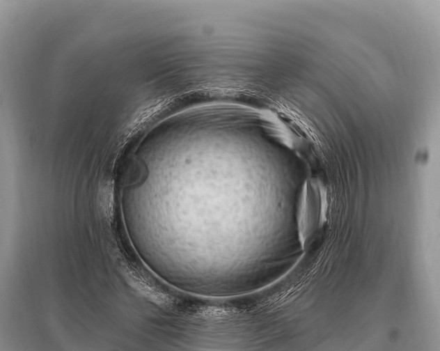 X0000096190494200801251243