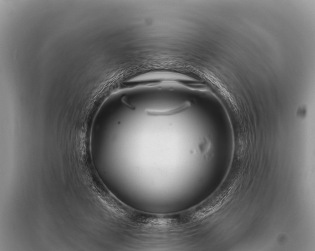 X0000096190497200801251243