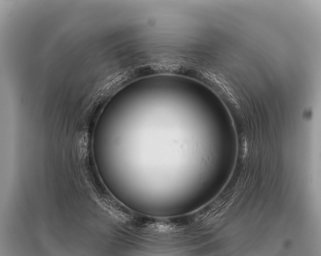 X0000096190498200801251243
