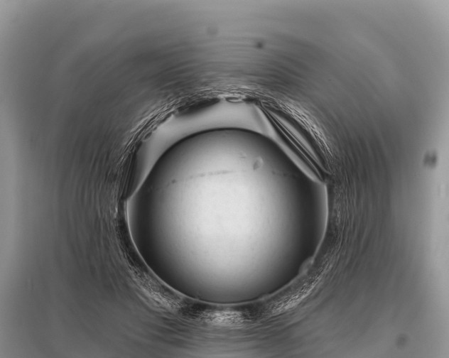 X0000096190501200801251243