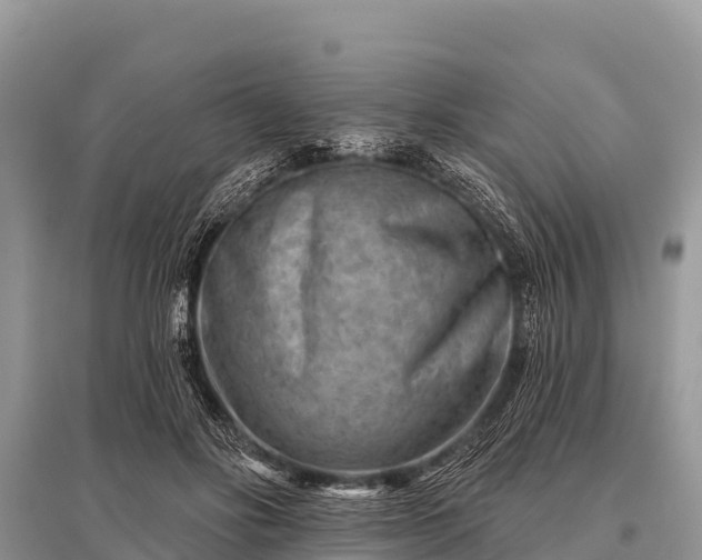 X0000096190502200801251243