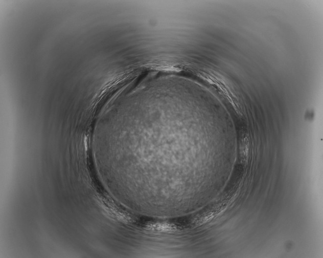 X0000096190503200801251243