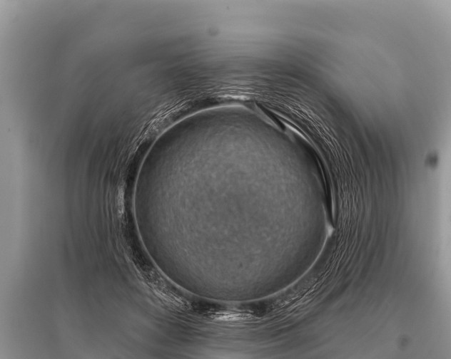 X0000096190504200801251243