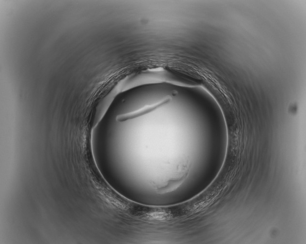 X0000096190505200801251243