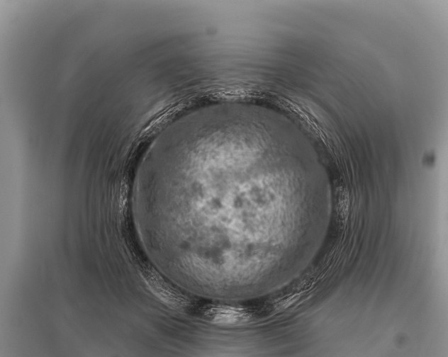 X0000096190507200801251243