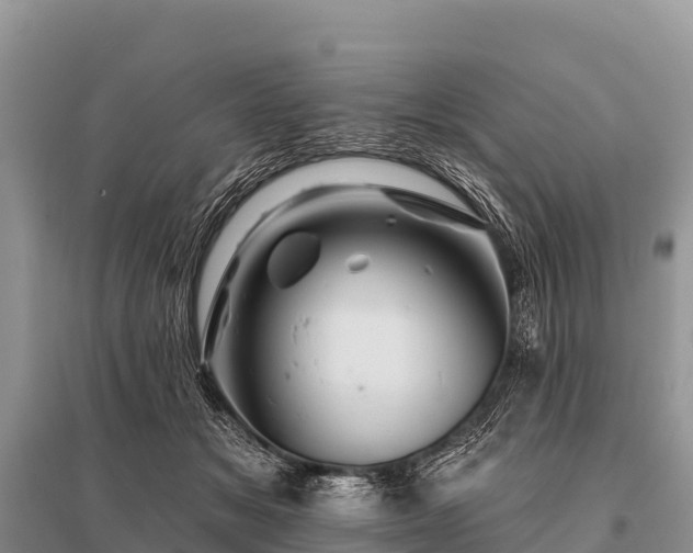 X0000096190509200801251243