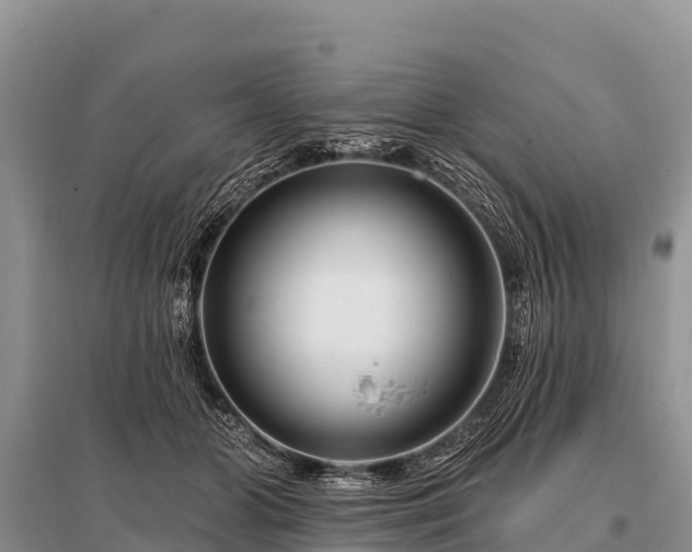 X0000096190510200801251243