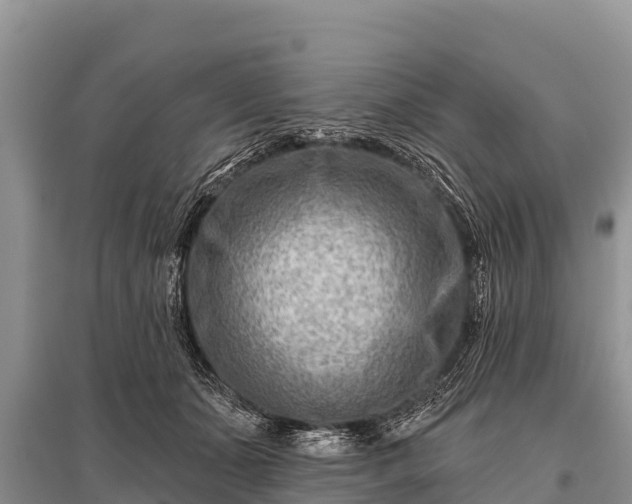 X0000096190511200801251243