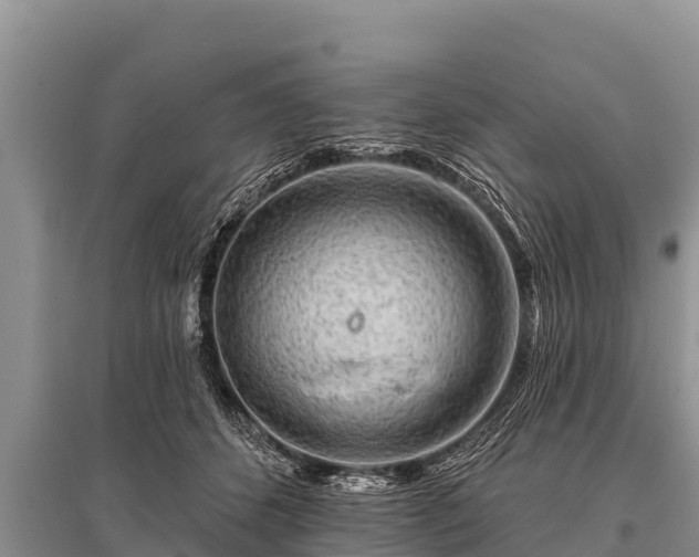 X0000096190512200801251243