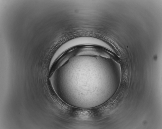 X0000096190513200801251243