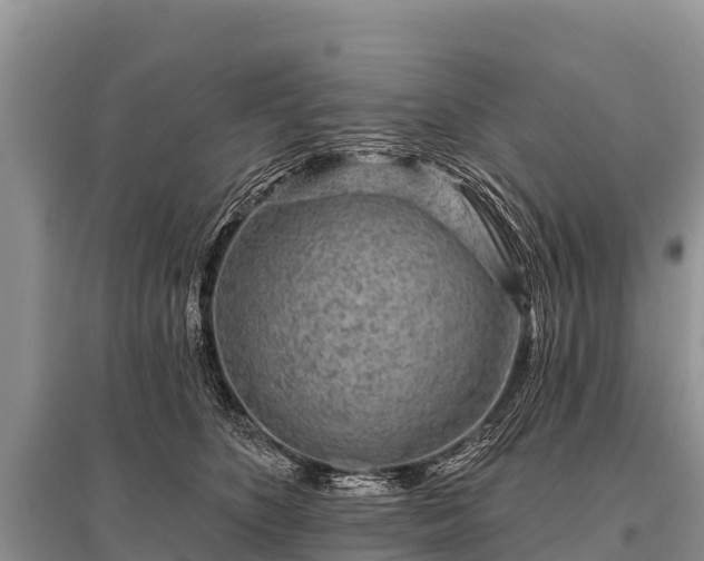 X0000096190516200801251243