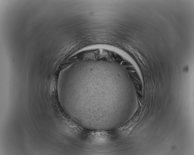 X0000096190517200801251243
