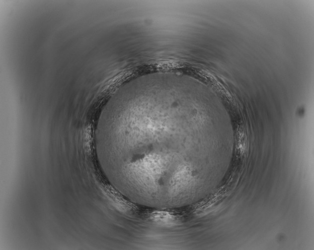 X0000096190519200801251243