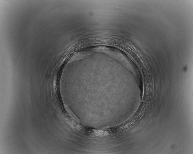 X0000096190520200801251243