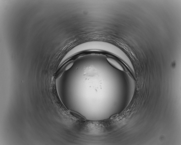 X0000096190521200801251243