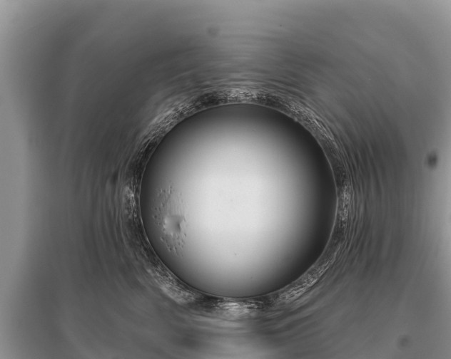 X0000096190522200801251243
