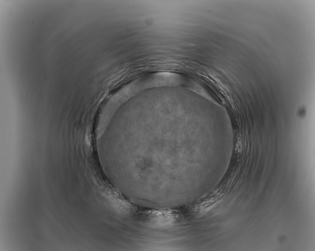 X0000096190524200801251243