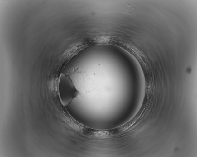 X0000096190525200801251243