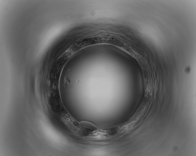 X0000096190526200801251243