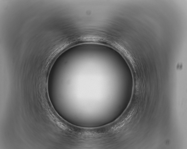 X0000096190529200801251242