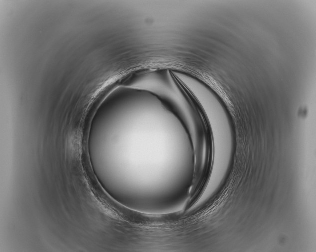 X0000096190530200801251242