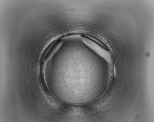 X0000096190531200801251242