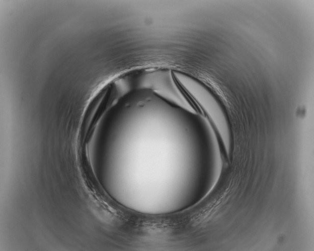 X0000096190532200801251242